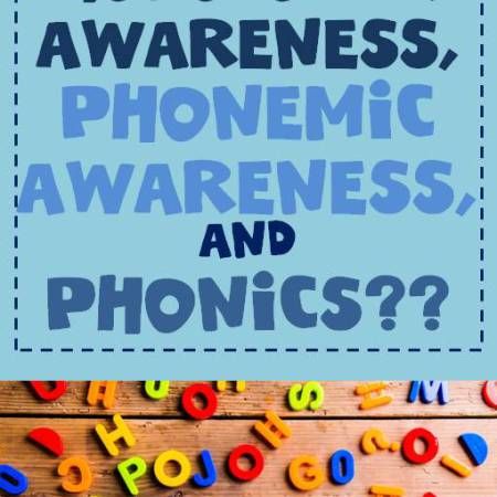 the words what's the difference between phonological awareness, awareness and phonicics?