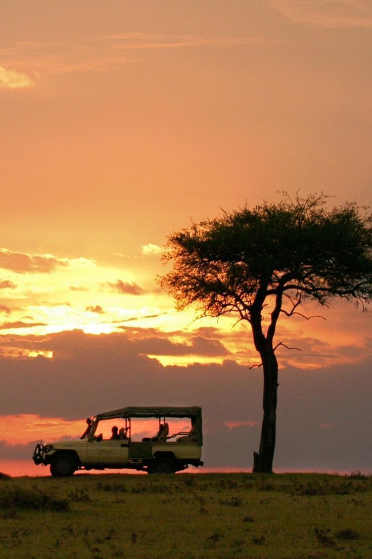 a safari vehicle is parked in front of a tree as the sun sets