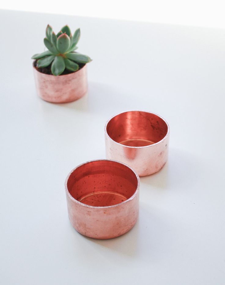 three copper cups sitting on top of a white table next to a succulent plant