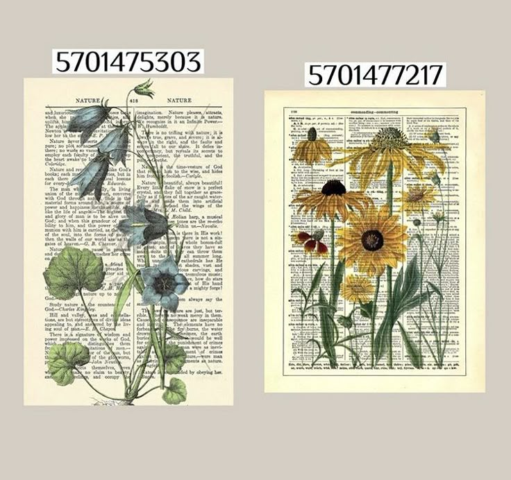 two pictures of flowers on top of an old book page with the same image in it