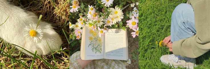 a person sitting in the grass reading a book with daisies hanging from their feet