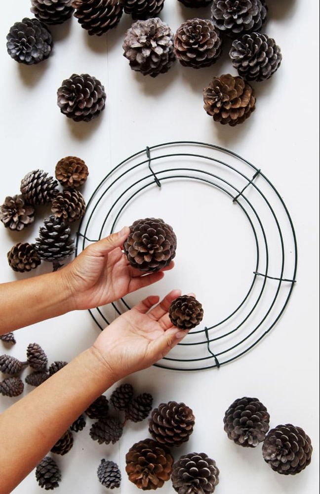 a person holding pine cones in front of a circle made out of pineconuts