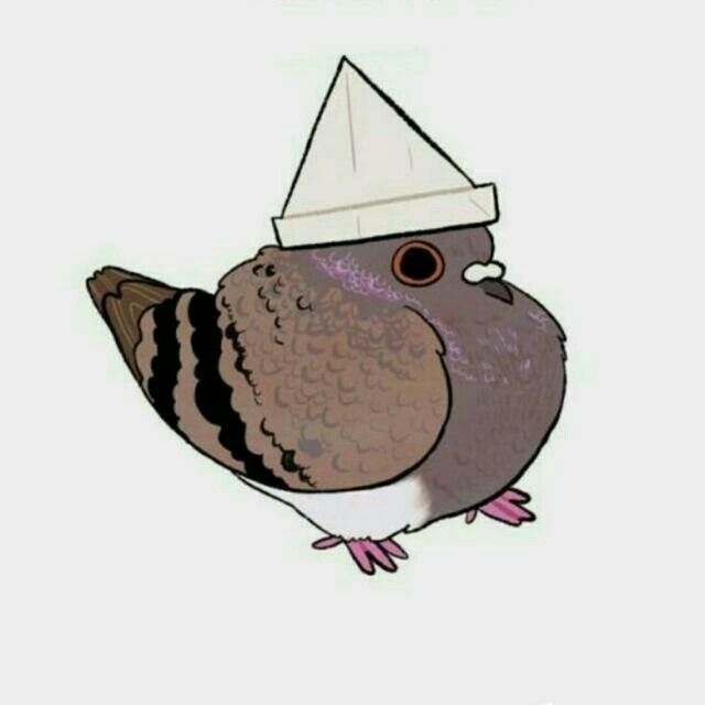 a bird with a hat on its head