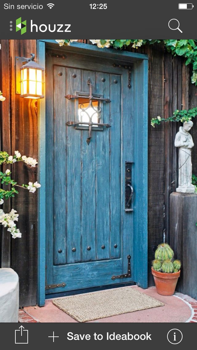 a blue wooden door surrounded by greenery and potted plants