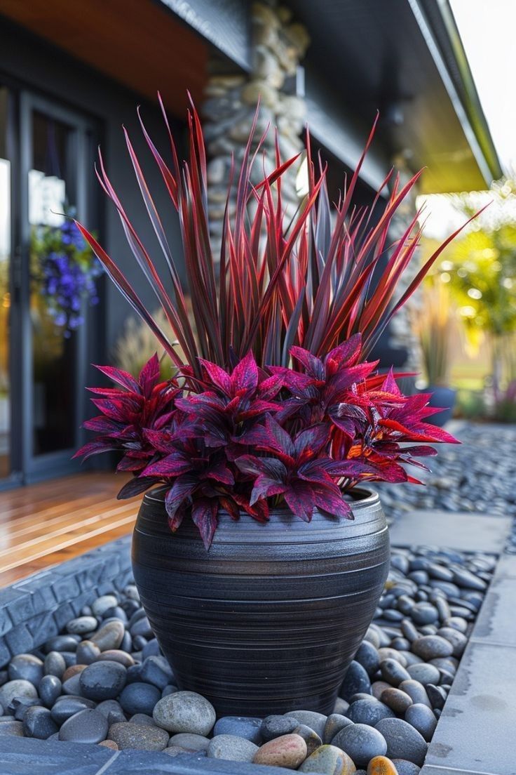 a large potted plant sitting on top of a stone walkway