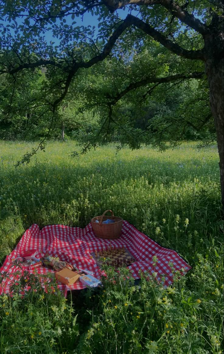 a picnic blanket is set up under a tree in the middle of a grassy field