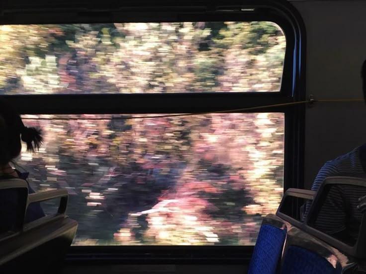 two people are sitting on a bus looking out the window at trees in the distance