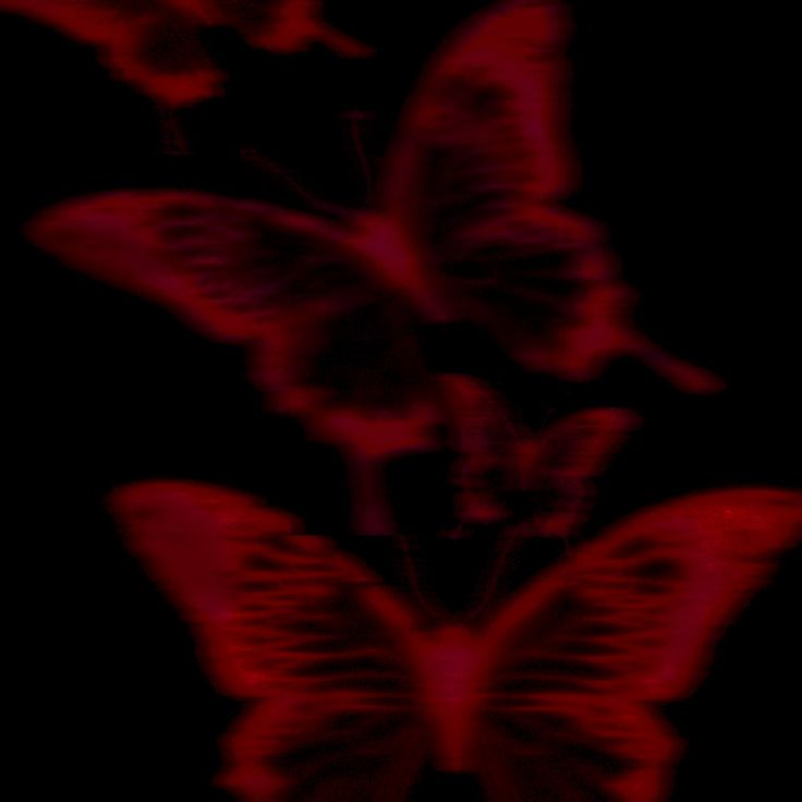 a red butterfly is flying in the dark