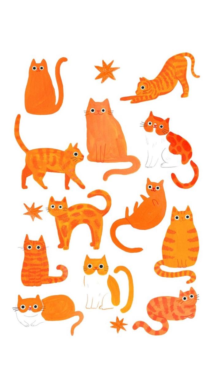 an orange and white cat sticker sheet with many different cats on it's back