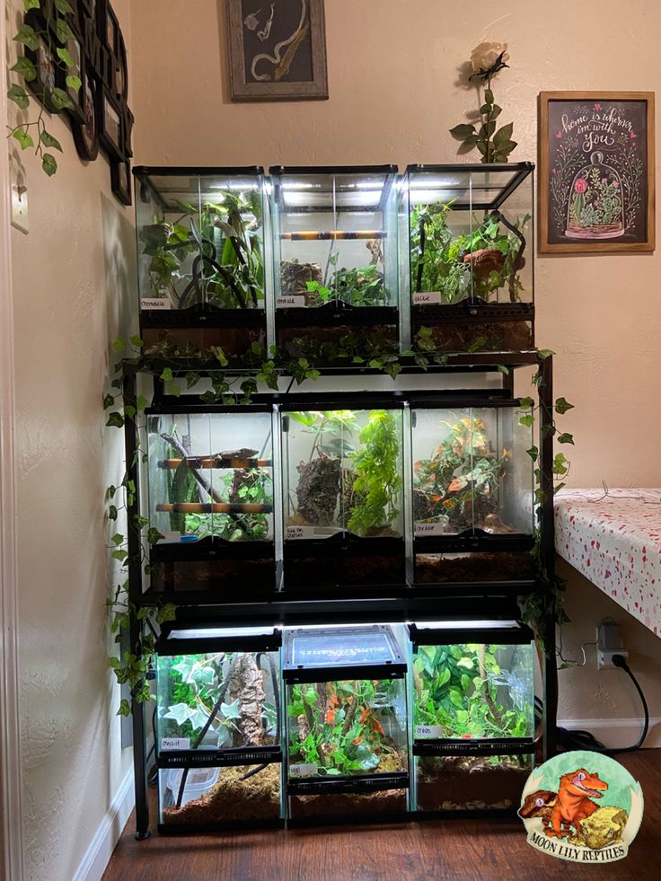 a room filled with lots of different types of plants and animals in glass containers on top of each shelf