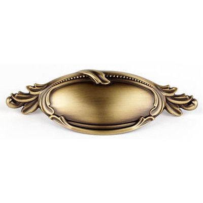 an antique brass finish door handle