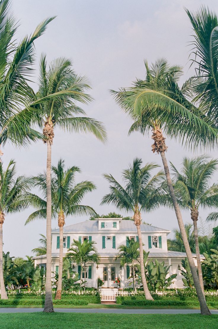 palm trees in front of a large white house