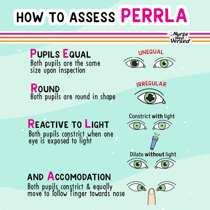 the different types of eyes and how to use them