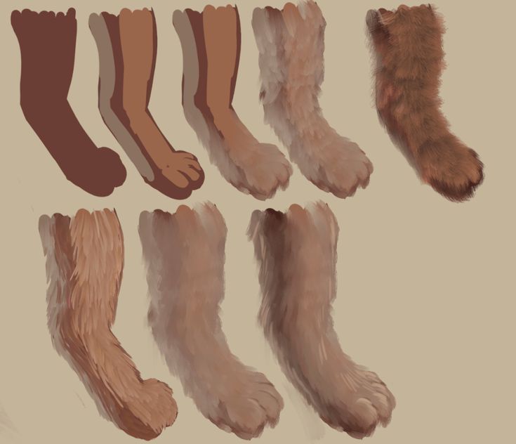 an artist's rendering of different types of feet and legs with fur on them