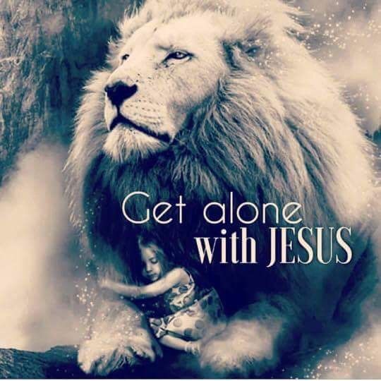 Spend time with Jesus! Studying Bible, The Book Of Genesis, Lion Of Judah Jesus, Jesus Our Savior, Lion Quotes, Seek God, Jesus Christ Quotes, Book Of Genesis, Tribe Of Judah