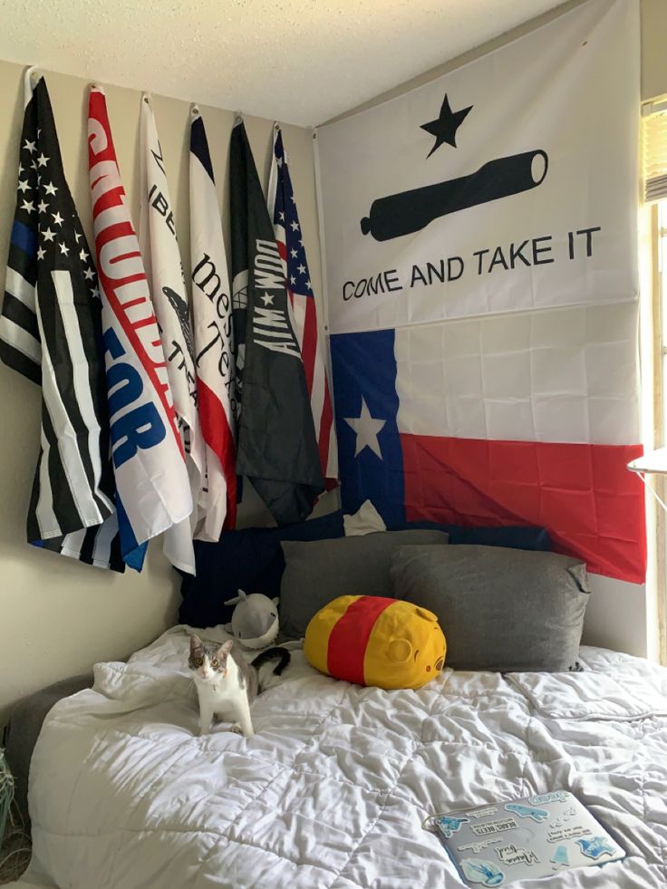 a cat sitting on top of a bed in front of several flags hanging from the wall