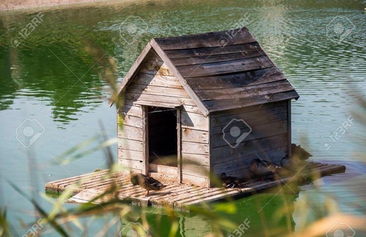 a dog house floating on top of a body of water