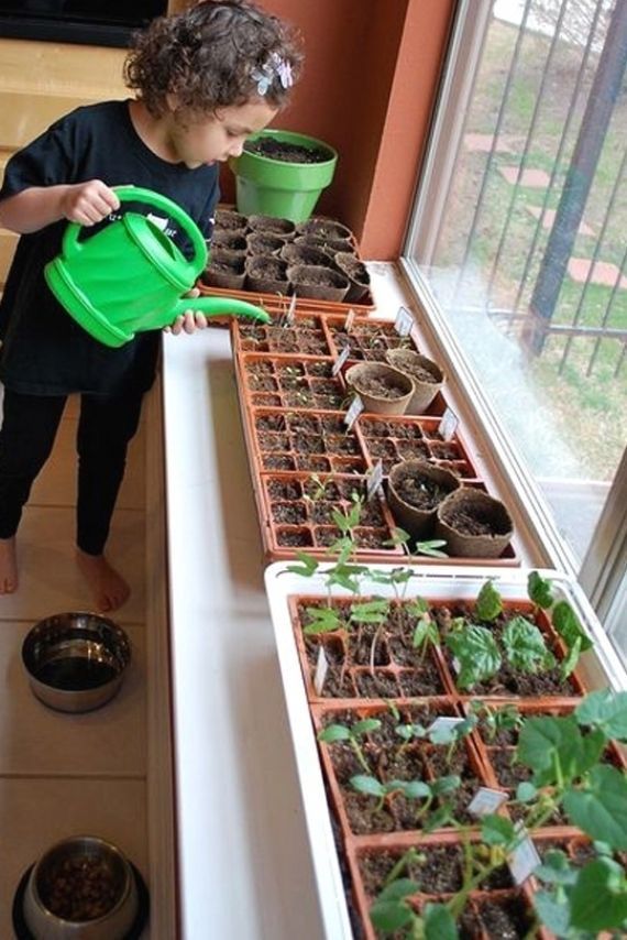 a young boy watering plants in front of a window