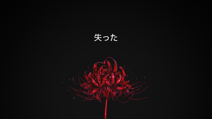 red spider lily and japan text Spider Lily Anime Wallpaper, Tokyo Ghoul Flower, Japan Text, Red And Black Spider, Touka Wallpaper, Red And White Wallpaper, Anime Flower, Lily Wallpaper, Red Spider Lily