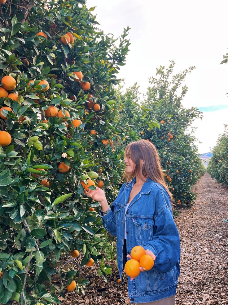 orange grove Citrus Farm Photoshoot, Orange Orchard Aesthetic, Orange Orchard Photoshoot, Orange Picking Aesthetic, Orange Farm Aesthetic, Vision Board Orange Aesthetic, Fruit-picking Aesthetic, Fruit Picking Photoshoot, Fruit Orchard Aesthetic