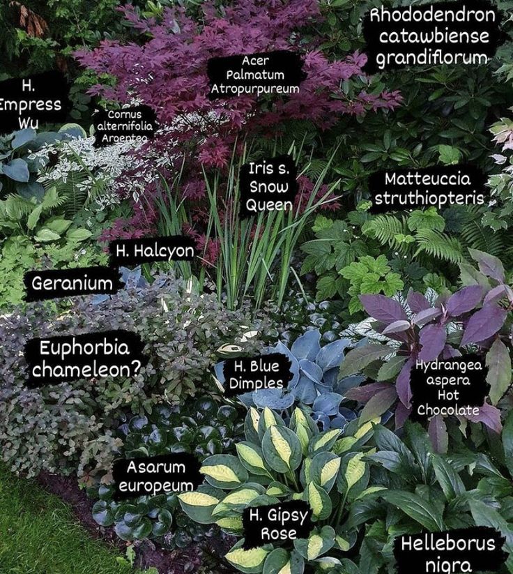 a garden with different types of plants and names on the planter's side