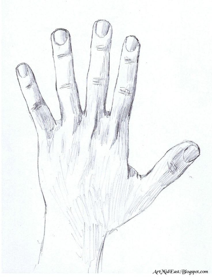 a drawing of a hand holding something in it's palm with two fingers extended