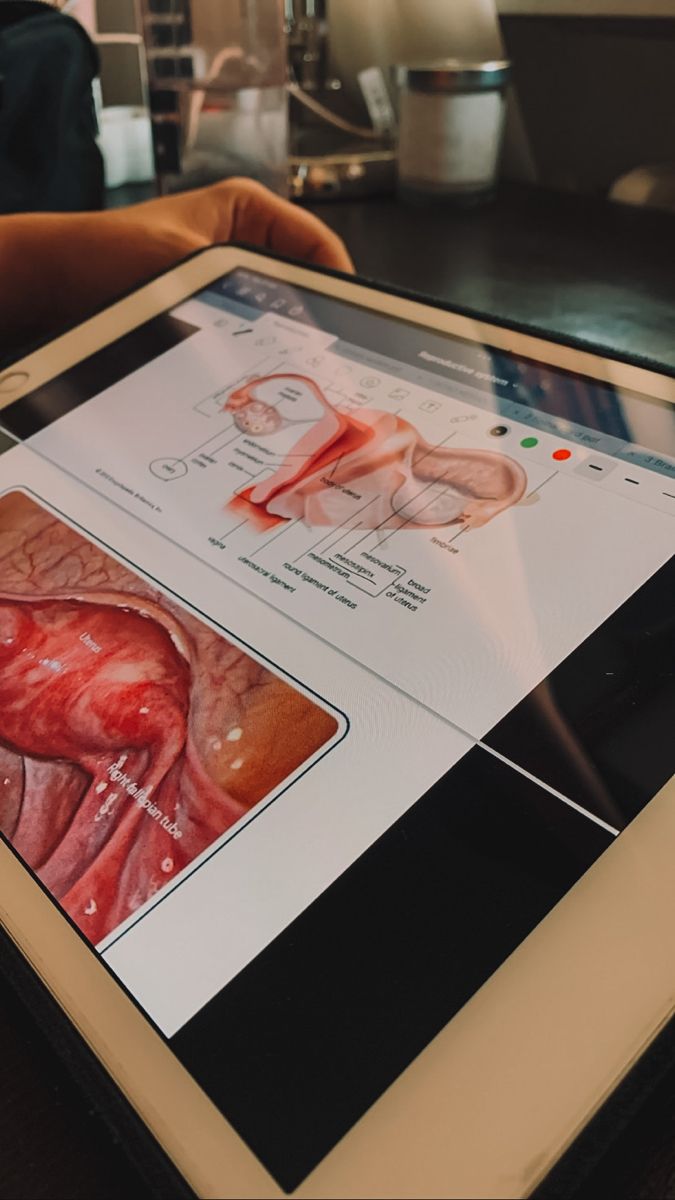 #medschool #studying #anatomy #studentlife #aesthetic #dentalschool #ipadnotes #exam Med Student Study Aesthetic, Gynecologist Aesthetic Wallpaper, Gynaecology Aesthetic, Endocrinology Aesthetic, Gynaecologist Aesthetic, Studying Med Aesthetic, Gynecology Aesthetic, Study Medicine Aesthetic, Medstudent Aesthetic