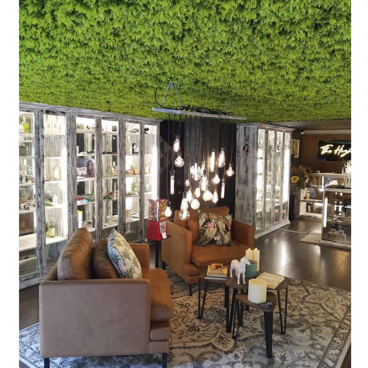 a living room filled with furniture and lots of greenery growing on the ceiling above