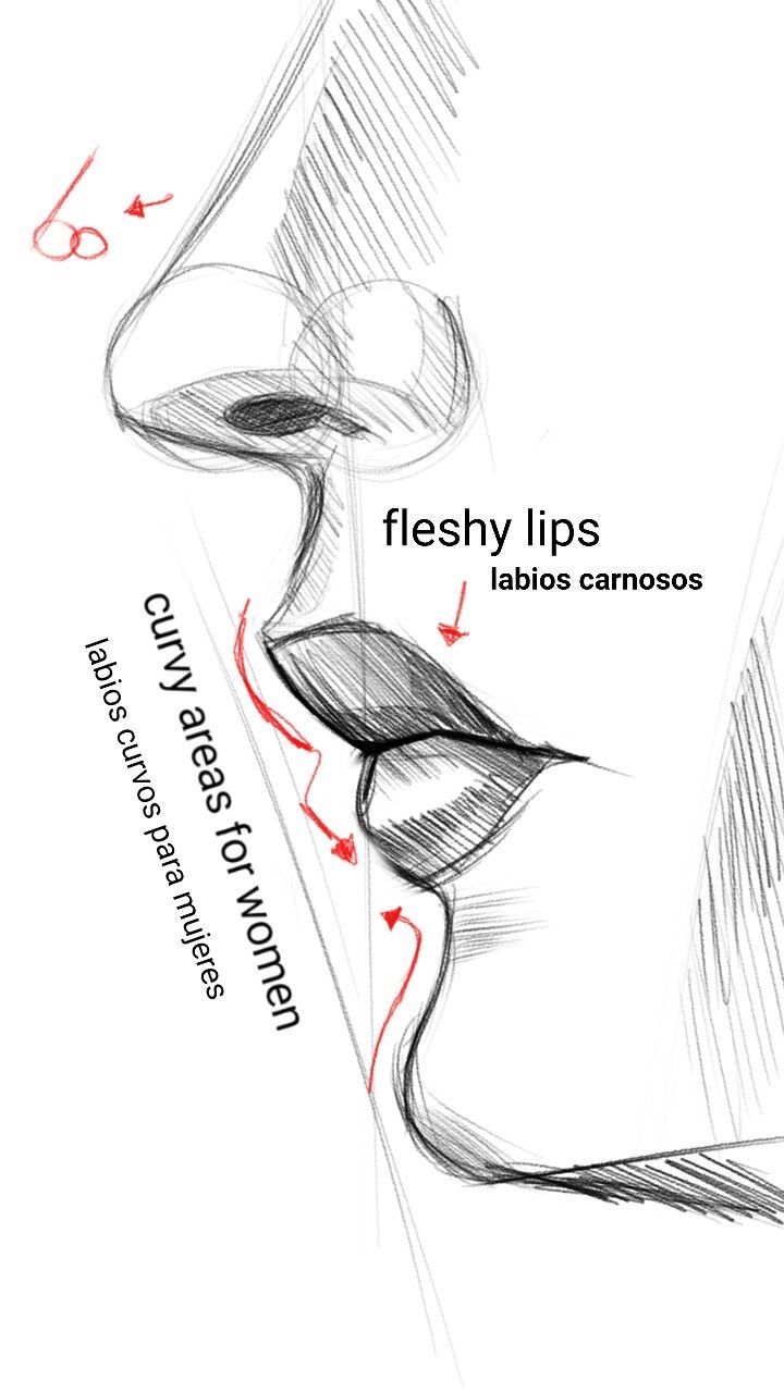 a drawing of a woman's face with the words fleshy lips below it