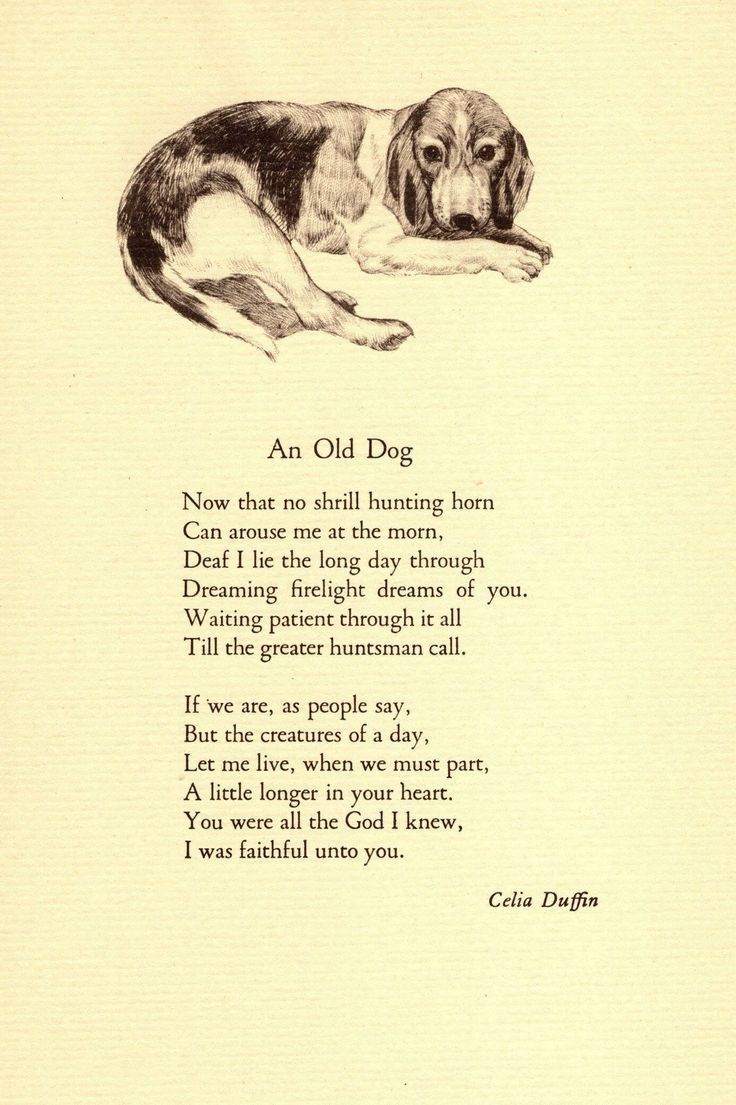 an old dog poem written in black and white with a drawing of a dog laying down