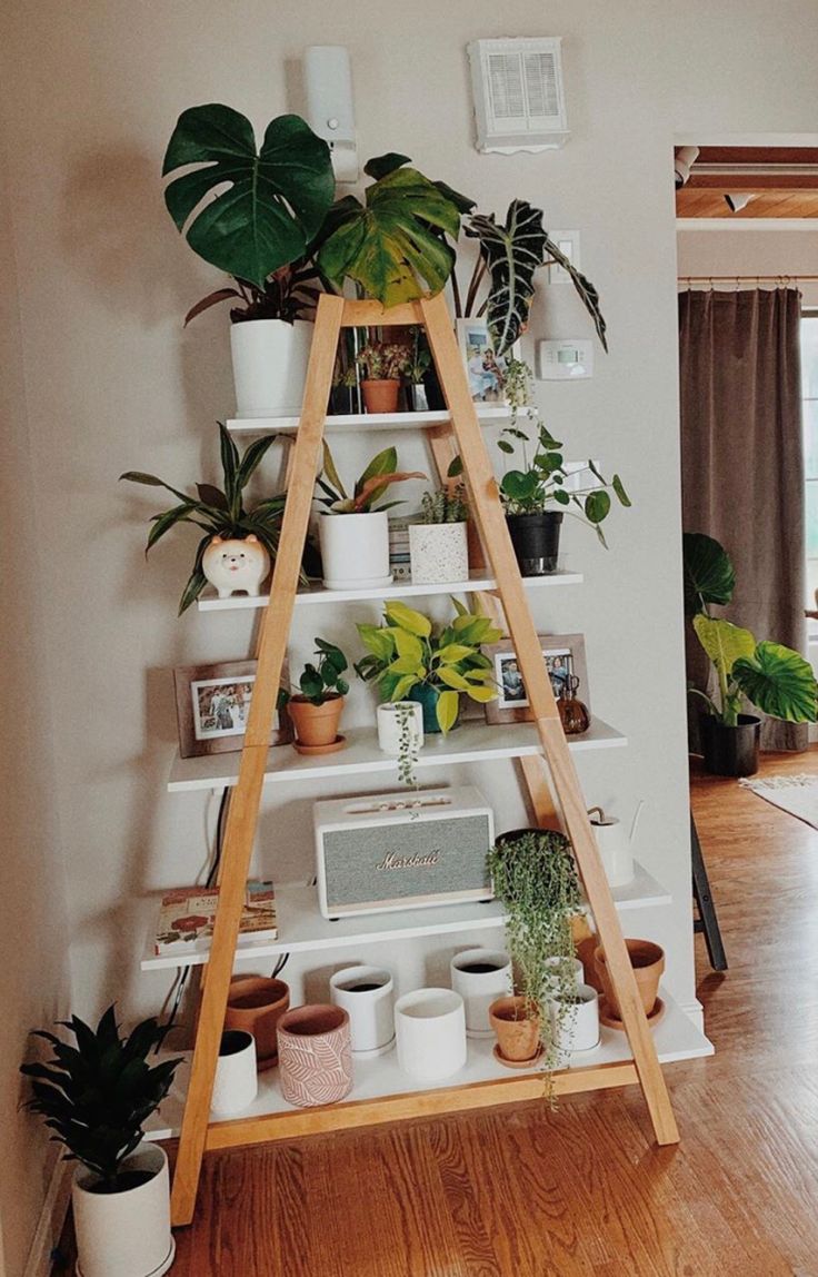 a wooden shelf filled with potted plants on top of a hard wood floor