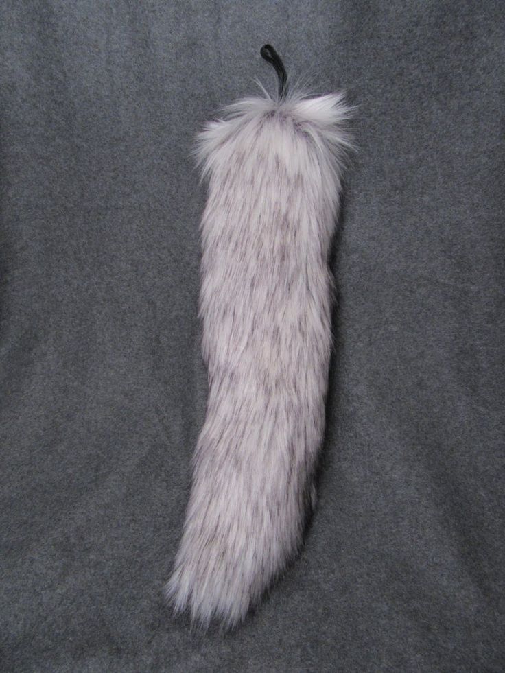 the tail of an animal that is laying on top of a gray blanket with