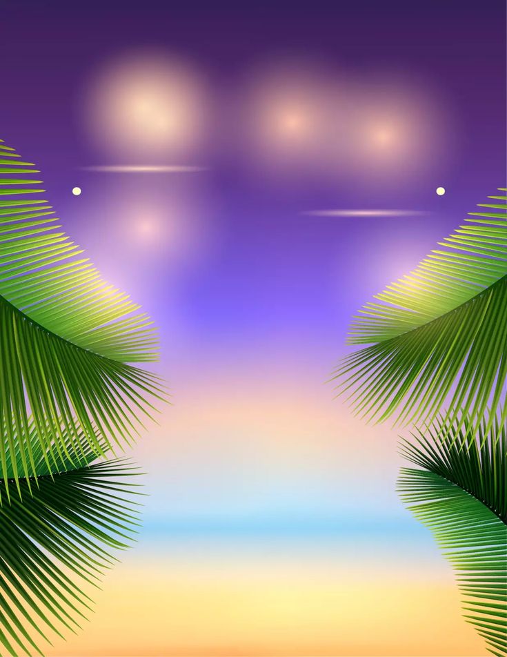 an image of a tropical scene with palm trees