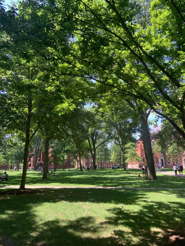 people are walking through the park on a sunny day