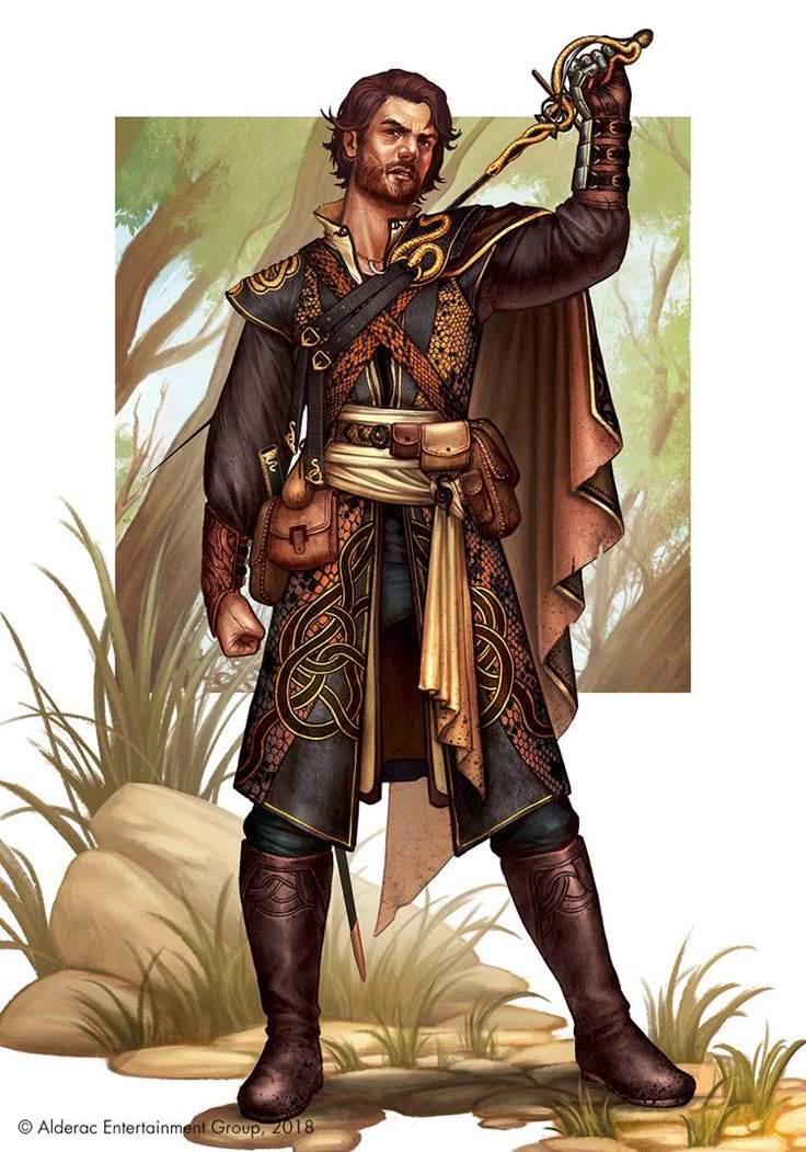 Pirate Art, Dungeons And Dragons Characters, Group Art, Fantasy Male, Rpg Characters, Fantasy Warrior, Character Design Male, Fantasy Rpg, Male Character