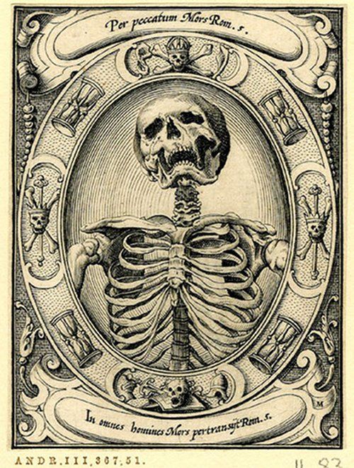 a drawing of a skeleton holding the back of its head in front of an ornate frame