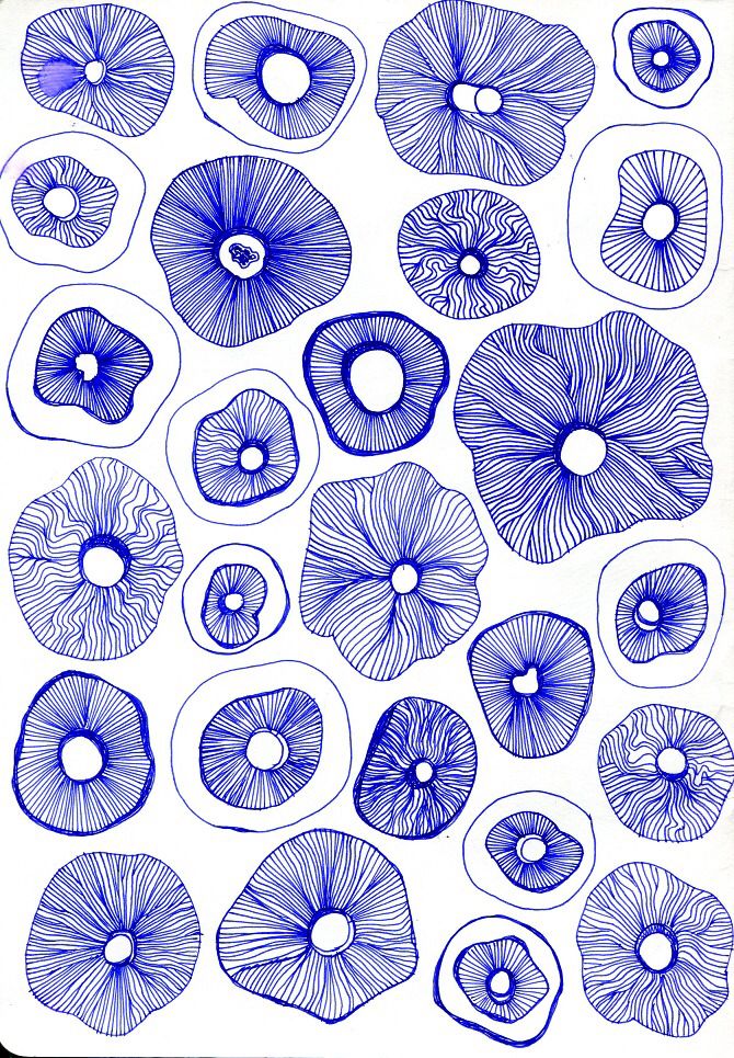 an image of blue flowers on white paper