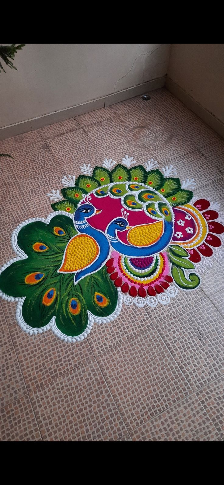 a colorful peacock design is on the floor