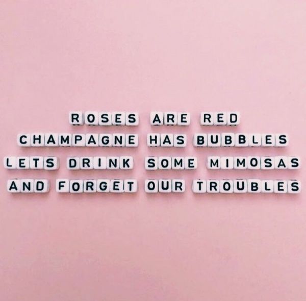 the words roses are red champagne has bubbles lets drink some mimoss and forget our troubles