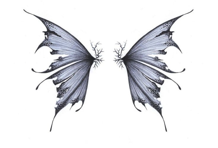 the back side of a butterfly with wings spread out to look like they are facing each other