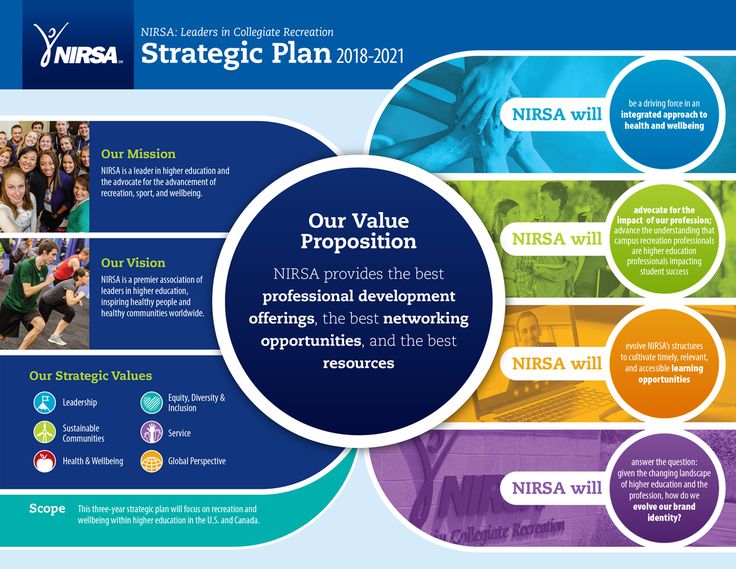 a brochure for the nisna strategy plan