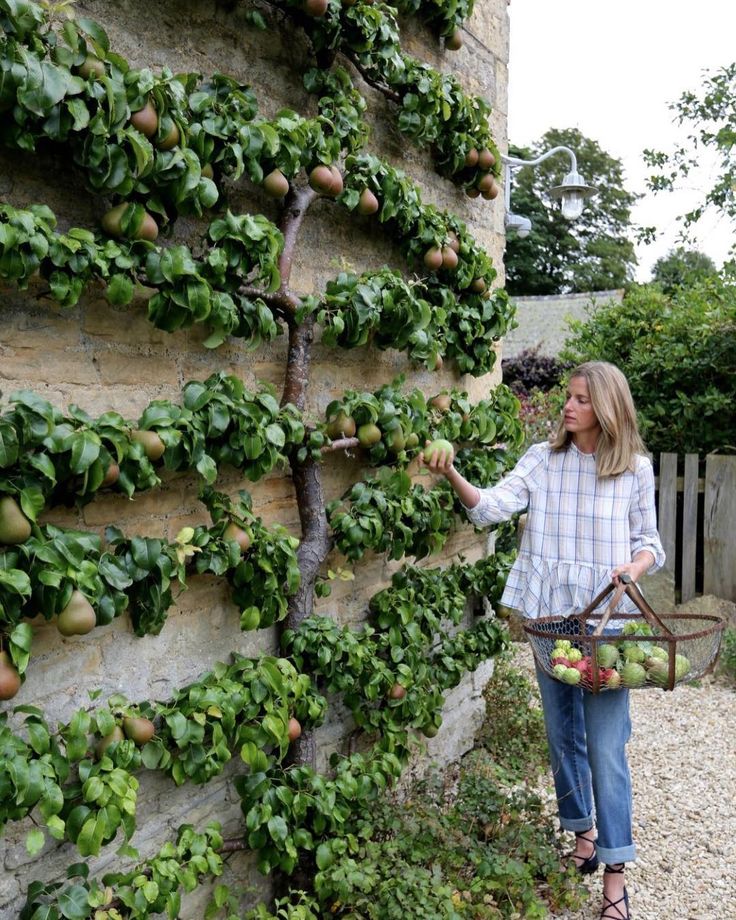 a woman standing next to a stone wall covered in green plants and fruit growing on it