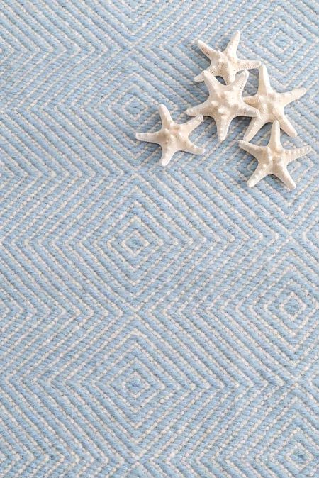 three starfishs are laying on a blue rug