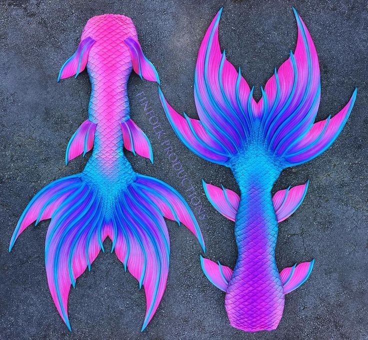 two pink and blue fish are on the ground