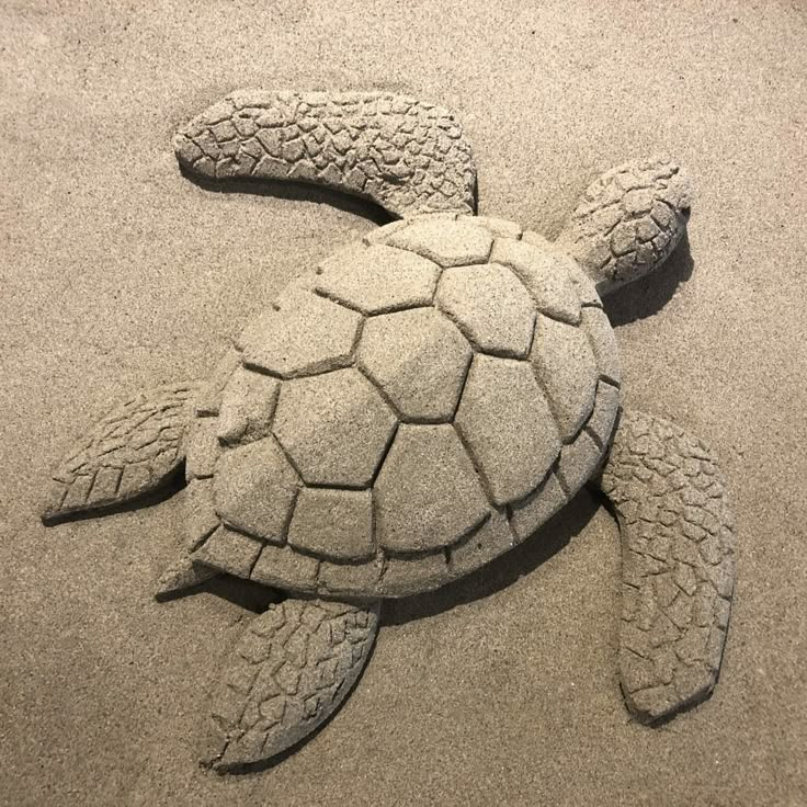 a turtle made out of sand on the beach