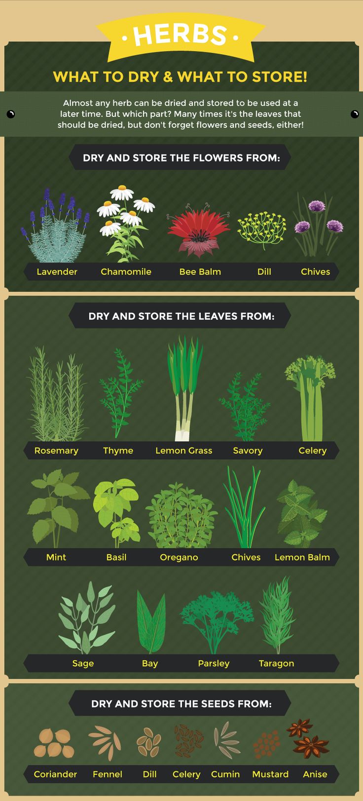 an info sheet showing the different types of plants and how they are used to grow them