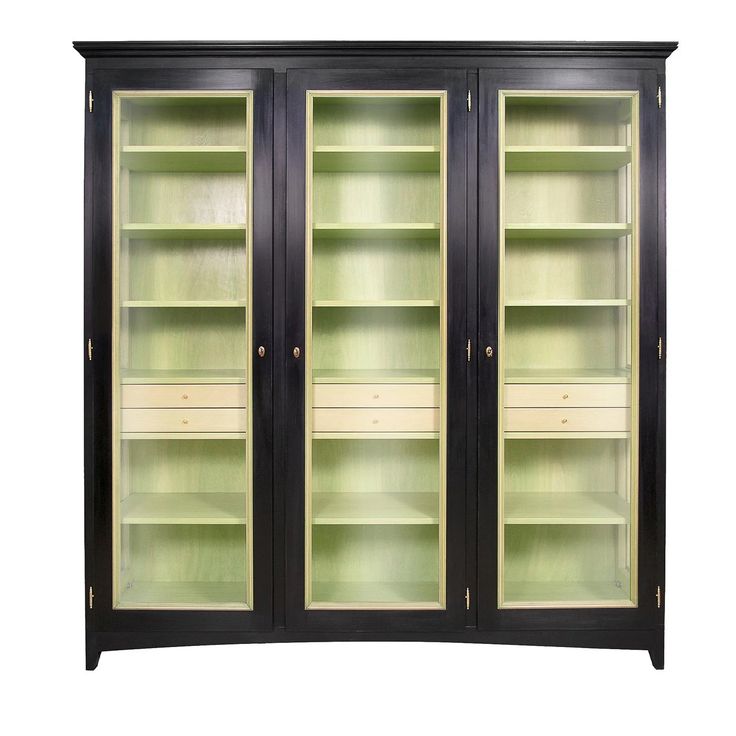 a black and green bookcase with glass doors