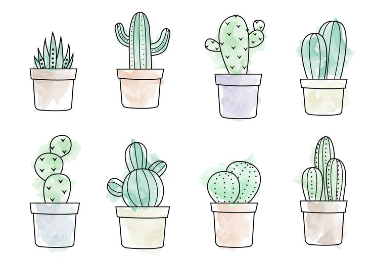 a bunch of cactus in different pots on a white background with watercolor paint effect