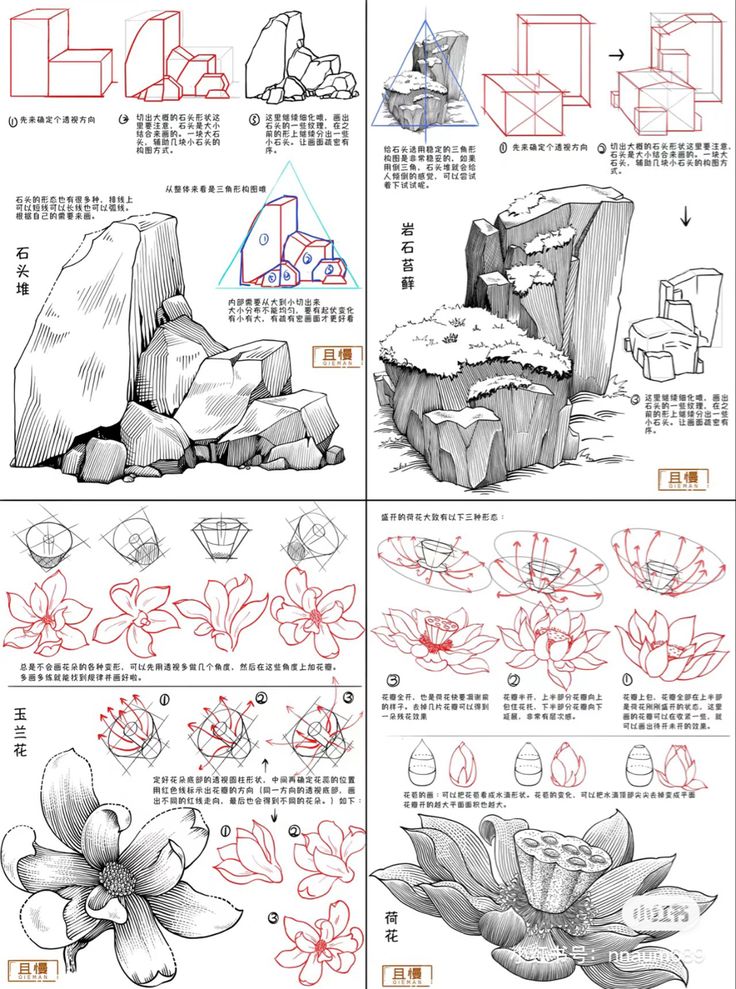 the steps in how to draw flowers and rocks