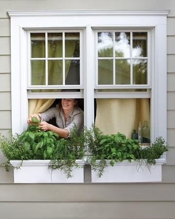 a woman is looking out the window with green plants